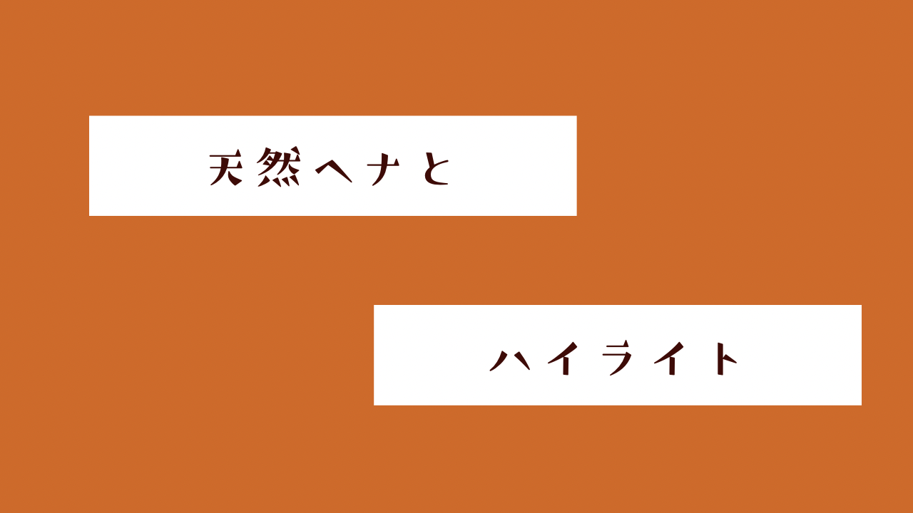 天然ヘナとハイライト☆彡