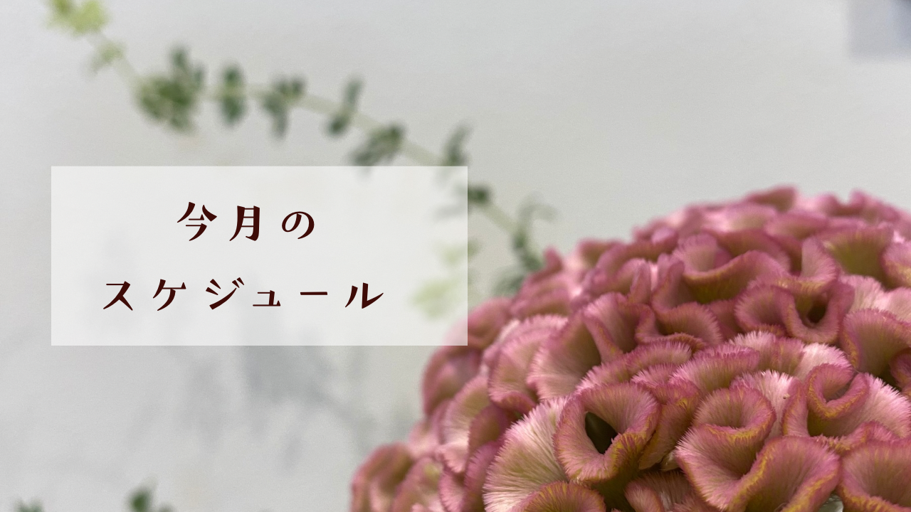 ９月のスケジュール☆彡