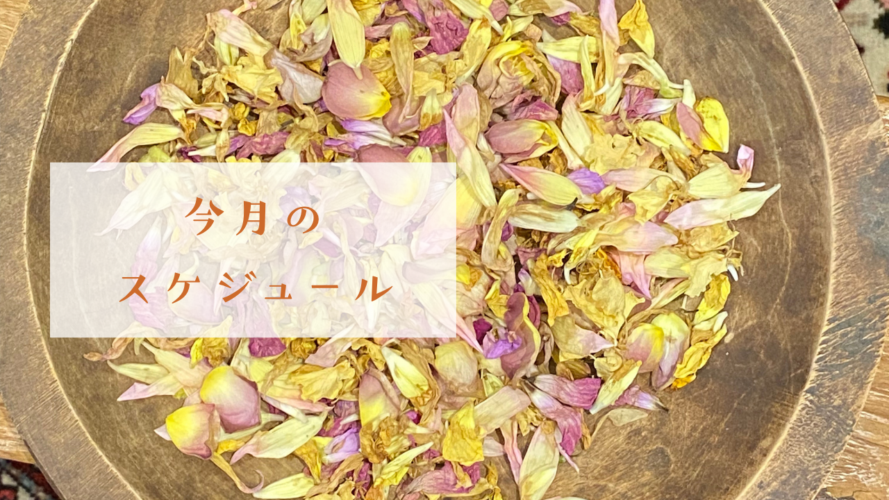 11月のスケジュールです☆彡