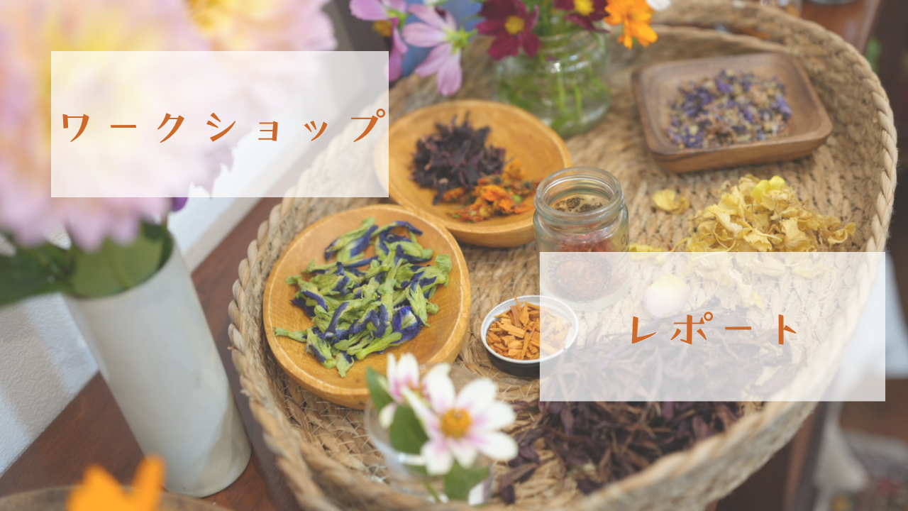 自然の色を閉じ込めて～バンドルダイのワークショップレポート