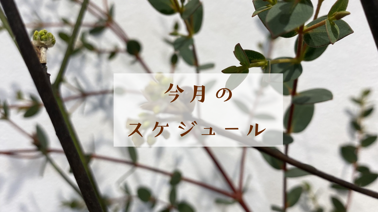 5月のスケジュールです☆彡