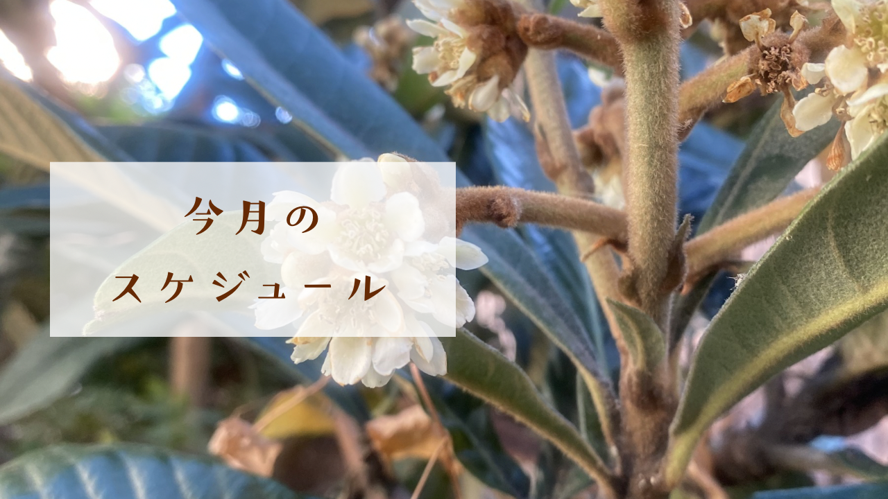 4月のスケジュールです☆彡