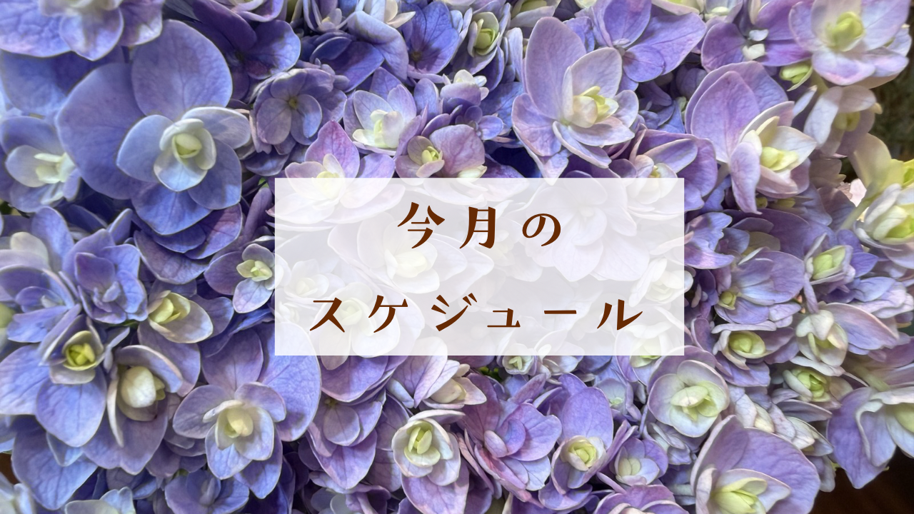 ７月のスケジュール☆彡