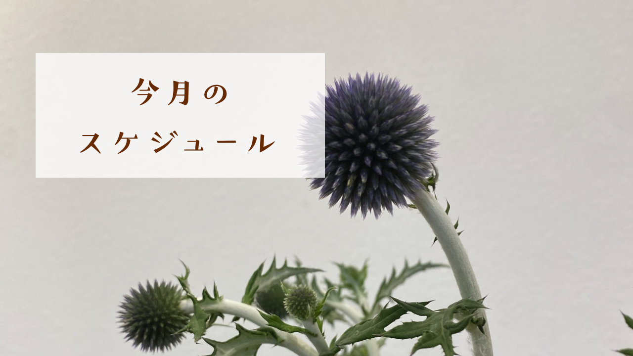 ８月のスケジュール☆彡