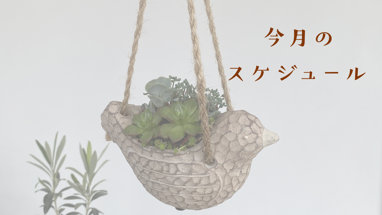 9月のスケジュール☆彡